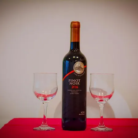 Apartamento Pasajlic Vrnjačka Banja