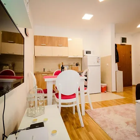 Pasajlic * Vrnjačka Banja