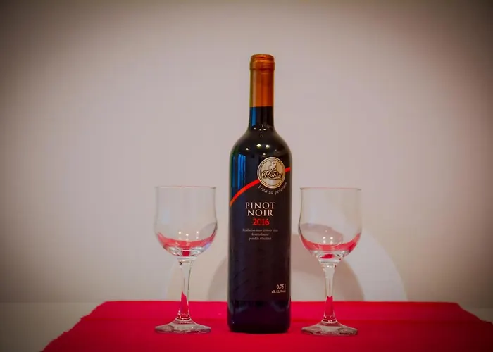 Apartament Pasajlic Vrnjačka Banja