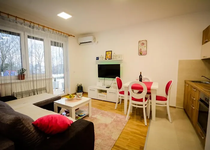 Apartament Pasajlic Vrnjačka Banja