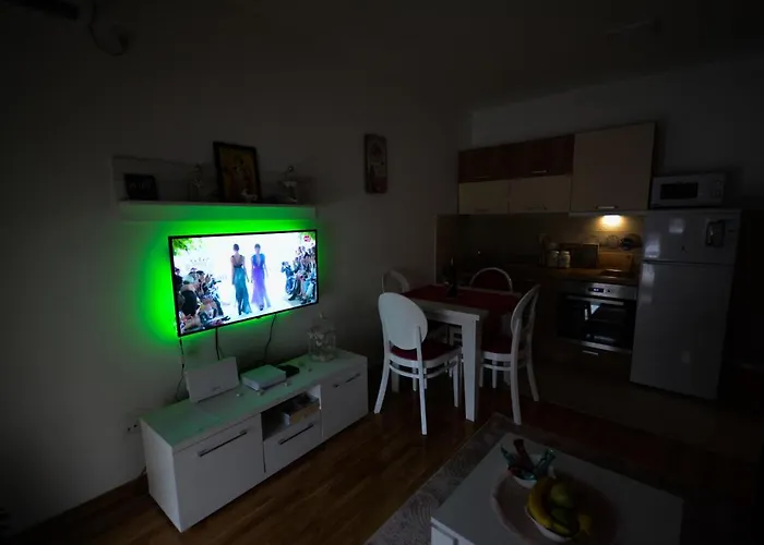 Apartament Pasajlic Vrnjačka Banja